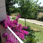 וילה De Charme Au Bord Des Piscines Naturelles Ventiseri