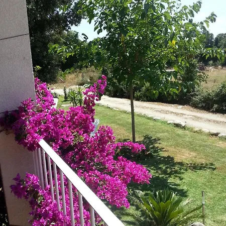 Villa De Charme Au Bord Des Piscines Naturelles Ventiseri