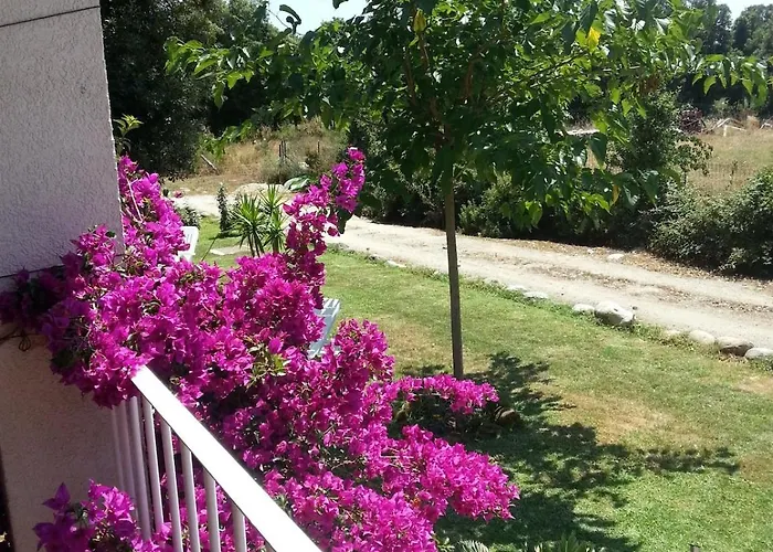 וילה De Charme Au Bord Des Piscines Naturelles Ventiseri